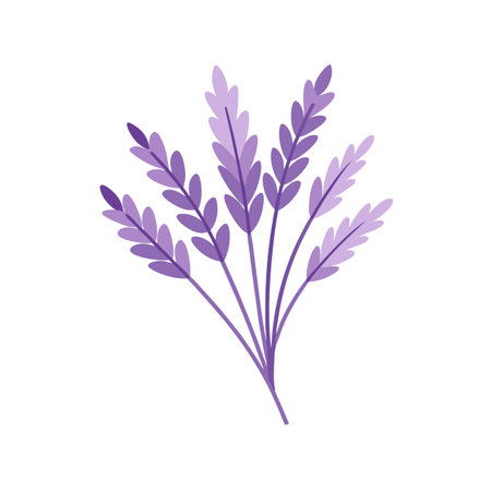 Minimalist Lavender Bouquet Illustration on White Background, Flat Design, Isolatedのイラスト素材