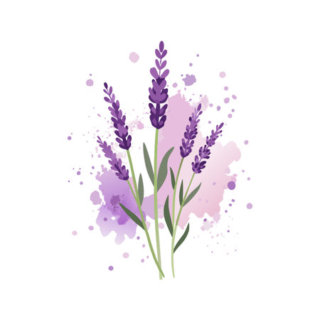 Watercolor Lavender Bouquet with Purple Splatters on White Background, Floral Design Elementのイラスト素材