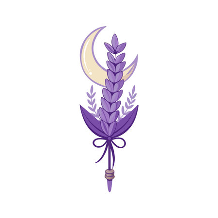 Stylized lavender sprig tied with ribbon and a crescent moon, whimsical illustrationのイラスト素材