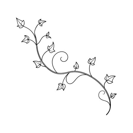 Elegant Swirling Vine Illustration with Leaves on White Background for Design Elementsのイラスト素材