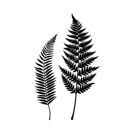 Two Fern Silhouette Vector Graphic: Minimalist Botanical Illustration for Design Projectsのイラスト素材
