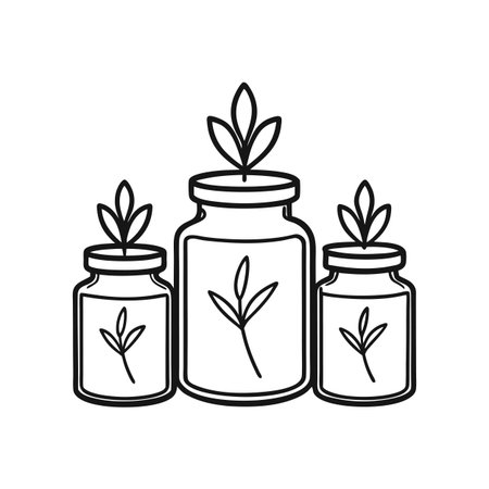 Three jars containing plants or herbs concept art, black and white line drawingのイラスト素材