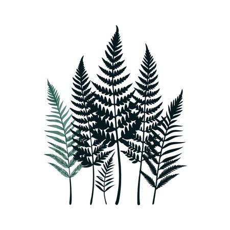 Illustration of fern leaves in dark and light green on a white backgroundのイラスト素材