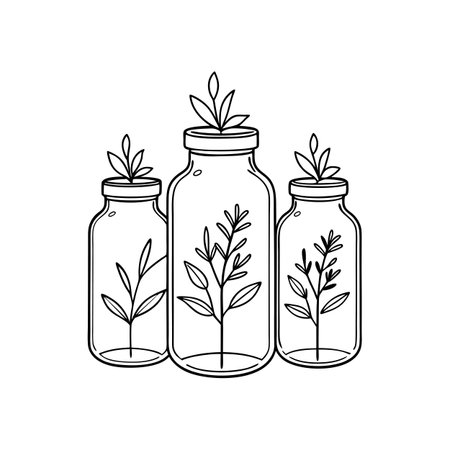 Three glass jars with plants illustration in minimalist line art styleのイラスト素材