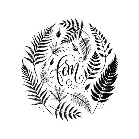 Circular fern wreath illustration in black and white, showcasing botanical elements and elegant calligraphy.のイラスト素材