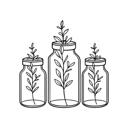 Three Jars with Sprouts Line Art Illustration on White Backgroundのイラスト素材