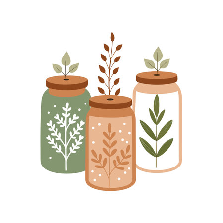 Stylish botanical illustrations in glass jars against white background for modern designsのイラスト素材