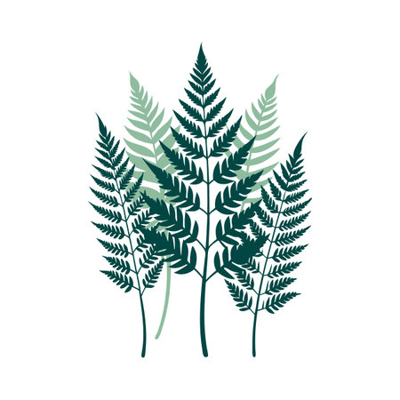 Minimalist Vector Illustration of Fern Fronds in Varying Shades of Green on a White Backgroundのイラスト素材