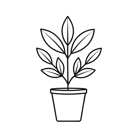 Minimalist Potted Plant Illustration with Clean Lines and Elegant Simplicity on White Backgroundのイラスト素材