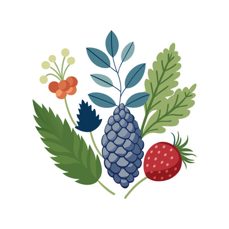 Stylized Forest Elements Flat Design: Berries, Pine Cone, Leaves Illustration on Whiteのイラスト素材