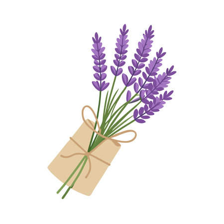 Bunch of Lavender Flowers Wrapped in Paper with Bow for Gift or Decorationのイラスト素材