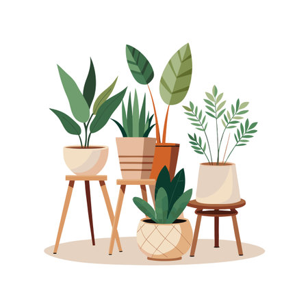Collection of indoor plants in decorative pots on stands, vector illustration isolatedのイラスト素材