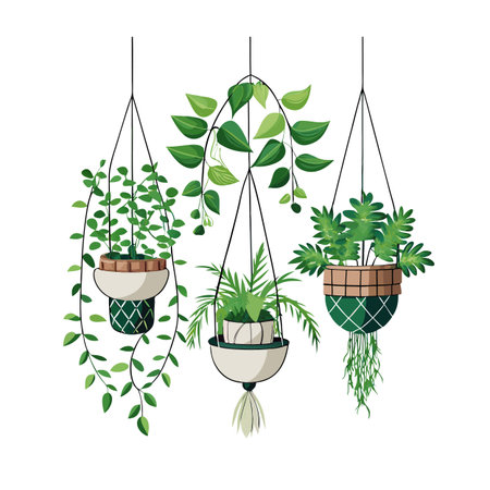 Three hanging plants with decorative pots, lush foliage, against a white backdropのイラスト素材