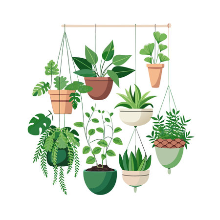 Collection of hanging indoor plants with various pots and plant types against a white backgroundのイラスト素材