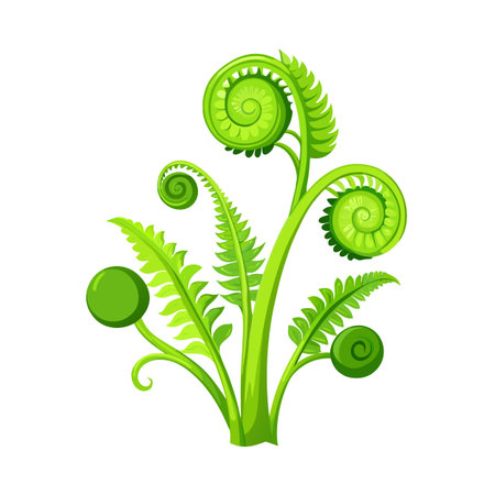 Vibrant green fern fronds uncurling on a white background in a vector graphic styleのイラスト素材
