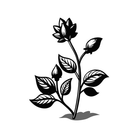 Elegant floral vector illustration with stylized leaves and flower bud in black and whiteのイラスト素材