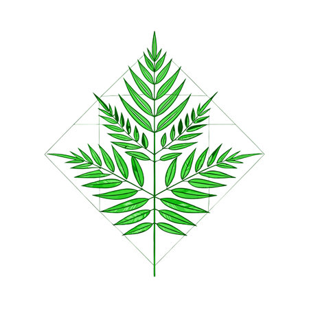 Stylized green fern leaf emblem with geometric diamond framing on a white backdropのイラスト素材