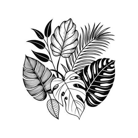 Elegant Black and White Tropical Leaves Arrangement - Botanical Illustrationのイラスト素材