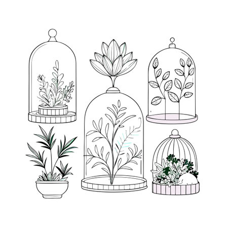 Botanical Illustration of Plants in Glass Domes and Pots with a Minimalist Styleのイラスト素材