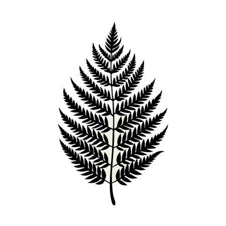 Elegant Fern Frond Illustration with Detailed Foliage Structure Against White Backdropのイラスト素材