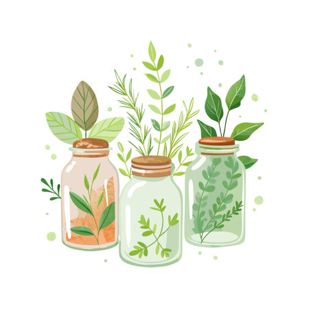 Collection of glass jars filled with assorted plants and leaves on a white backgroundのイラスト素材