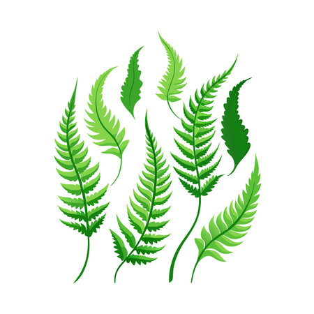 Illustration of Various Green Fern Fronds on a White Background for Creative Projectsのイラスト素材
