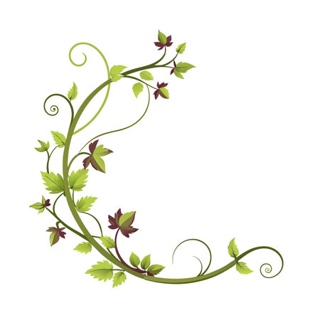 Elegant floral frame with vine and leaves illustration, ideal for decorative design projectsのイラスト素材