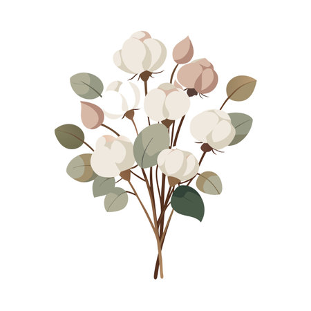 Elegant cotton flower bouquet in muted colors against a clean white background, simplistic vector artのイラスト素材