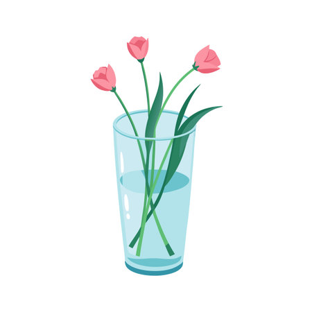 Three pink tulips in a glass vase with water isolated against a white backgroundのイラスト素材