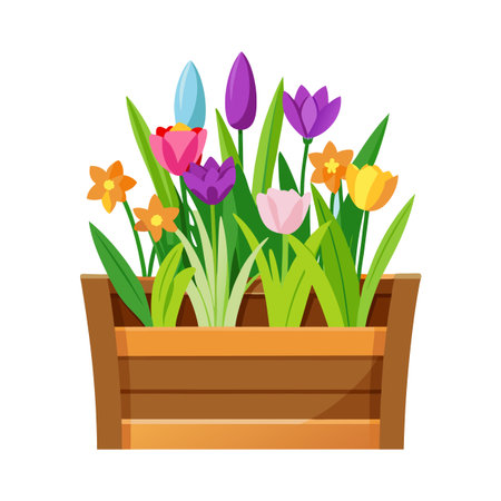 Wooden planter box with colorful spring flowers including tulips, daffodils, and crocus, isolated on whiteのイラスト素材