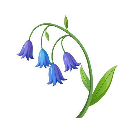 Illustration of delicate bluebell flowers, showcasing their vibrant colors and elegant, bell-shaped blossoms on a white backgroundのイラスト素材