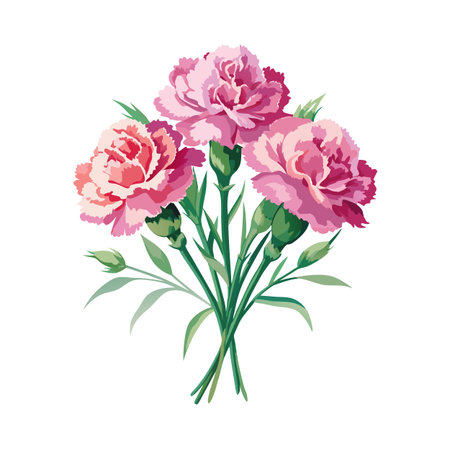 Delicate bouquet featuring three pink carnations with vibrant green leaves on a white background.のイラスト素材