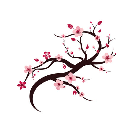 Elegant cherry blossom branch illustration on a white background with dark brown branchesのイラスト素材