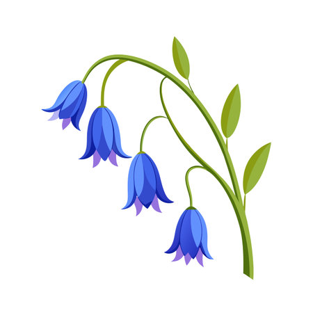 Stylized Bluebell Flower Illustration with Green Stem and Leaves on White Backgroundのイラスト素材