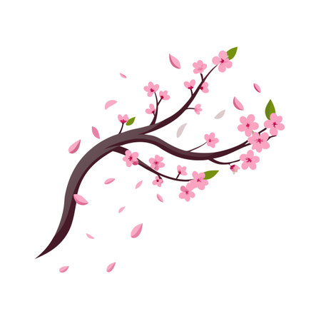 Stylized cherry blossom branch with falling petals on a clean white background vectorのイラスト素材