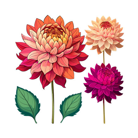 Floral Arrangement of Dahlias in Various Colors on a White Backgroundのイラスト素材