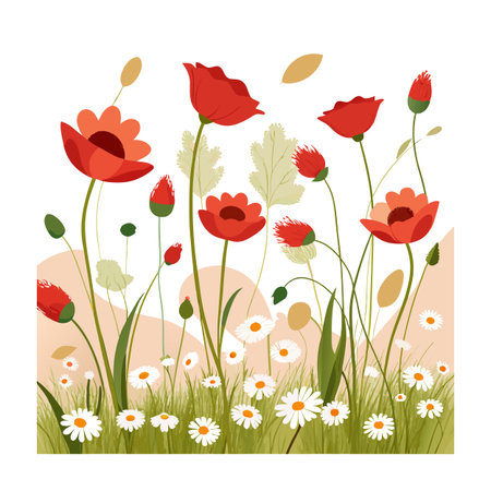 Delicate floral field illustration featuring red poppies and white daisies in a cheerful and vibrant compositionのイラスト素材