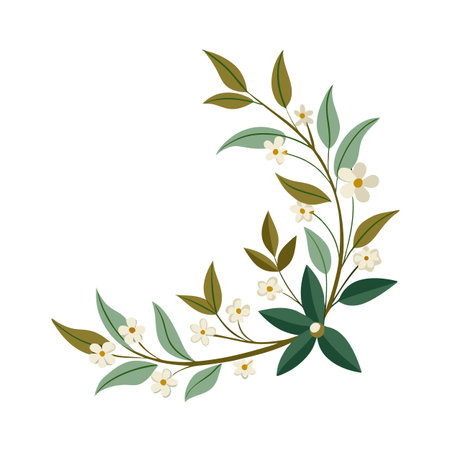 Elegant floral corner design with white blossoms and varied green leaves on a white backgroundのイラスト素材