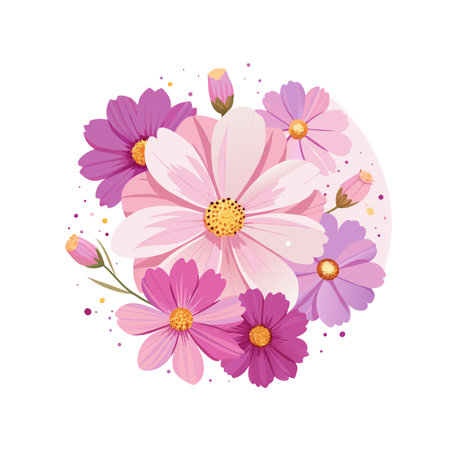 Floral arrangement of cosmos flowers in varying shades of pink and purple tonesのイラスト素材