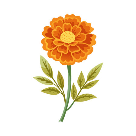 Stylized Illustration of a Vibrant Orange Marigold Flower with Green Stem and Leavesのイラスト素材