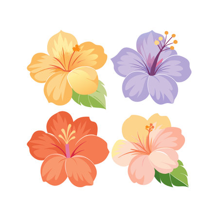 Vibrant Hibiscus Flower Illustration: Four Colorful Blossoms on White Background, Graphic Styleのイラスト素材