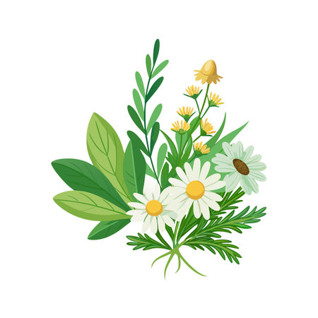 Elegant botanical arrangement with daisies, wildflowers and green leaves on a white background.のイラスト素材
