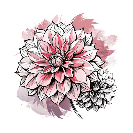 Hand-drawn Dahlia Flowers with Watercolor Background for Decorative and Ornamental Designsのイラスト素材