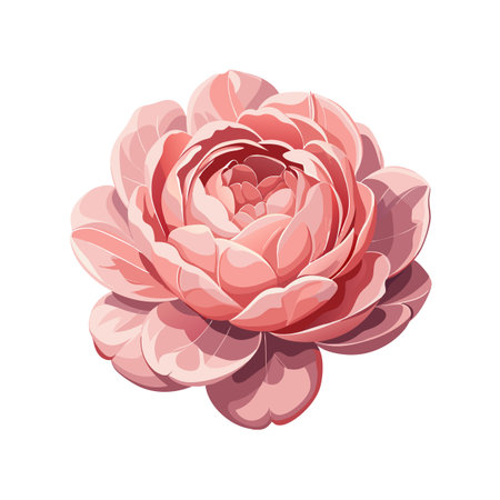 Isolated Pink Flower Blossom on White Background Detailed Vector Illustration Stock Imageのイラスト素材