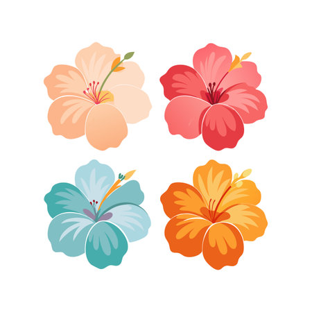 Four Stylized Hibiscus Flowers in a Flat Design on a White Backgroundのイラスト素材
