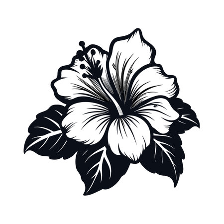 Monochrome Hibiscus Flower Illustration with Leaves in Stylized Black and White Designのイラスト素材