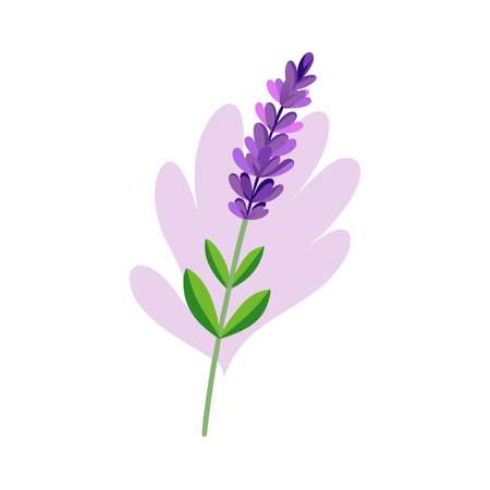 Stylized lavender sprig with a pastel backdrop, isolated on white backgroundのイラスト素材