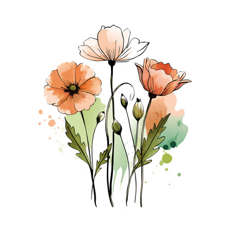 Watercolor Poppies Illustration with Black Outlines and Pastel Colors, Floral Designのイラスト素材