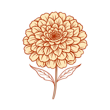 Vintage Floral Illustration: Single Dahlia with Stem and Leaves on White Backgroundのイラスト素材