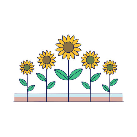 Five sunflowers of varying heights growing in a garden, presented in a flat graphic styleのイラスト素材
